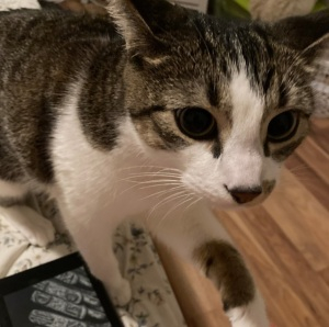 Benny